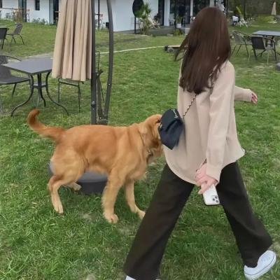 失焦的深度